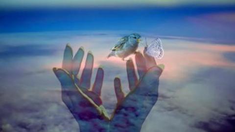 respect-amour-partage_50pst_23fzpk