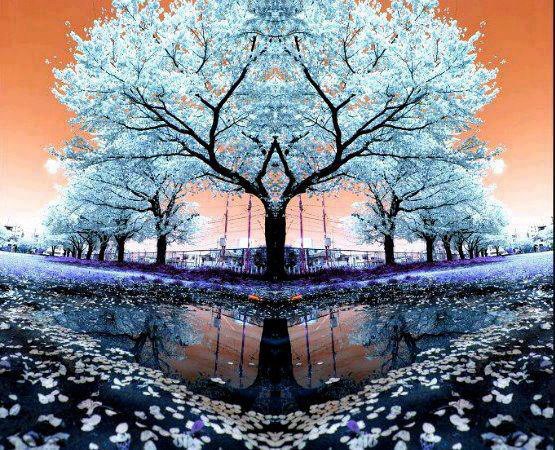 522500_510599172312210_94517634_n