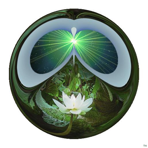 an art work by T Newfields (Nitta Hirou)