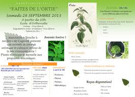 Faite de l'ortie
