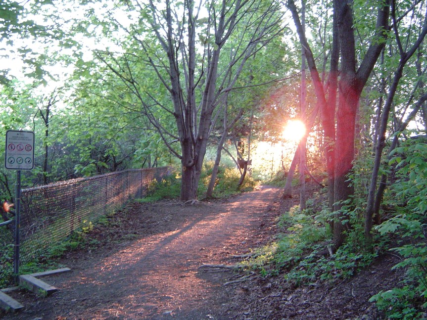 Parc Des Franciscains (1)