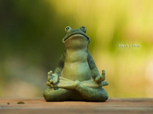 ImAGE Grenouille