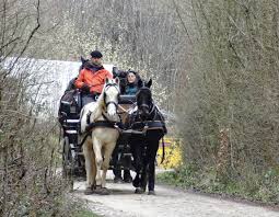 calèche noir et blanc