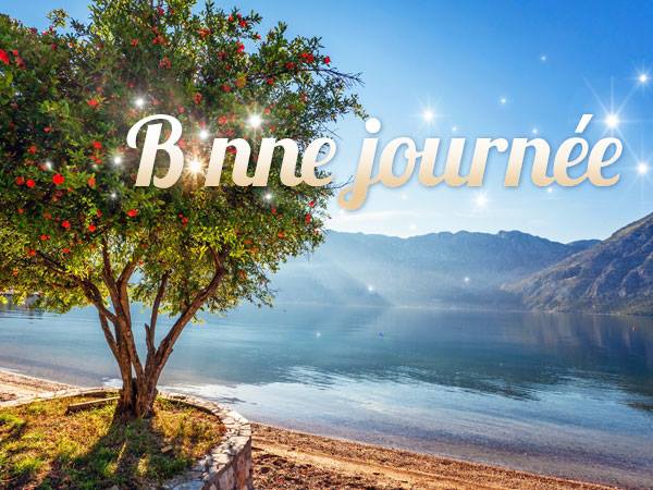 Bonne journée