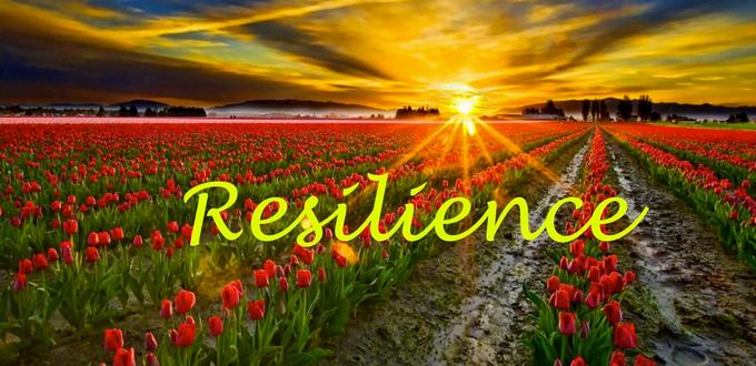 Resilience-14-12-15