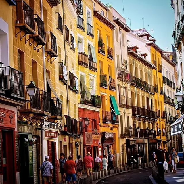 ImAGE_lalatina-parsley_q