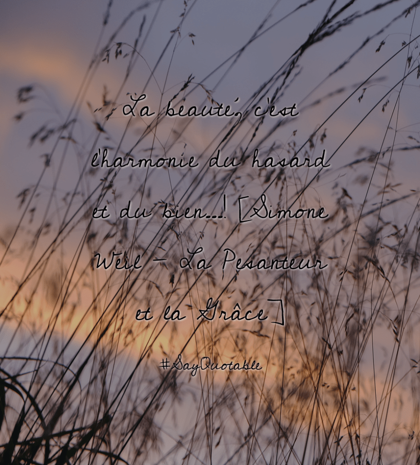 2-quote-about-la-beaute-cest-lharmonie-du-hasard-et-du-bien-image-background-image.jpg