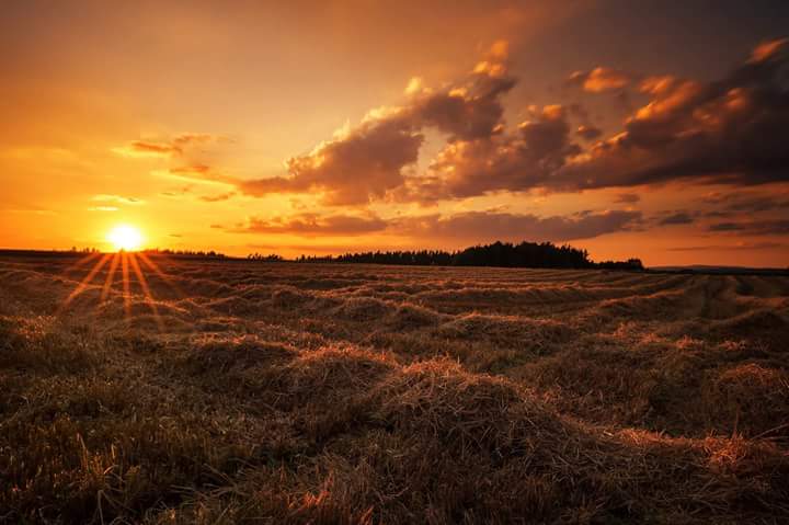 ImAGE lever de soleil