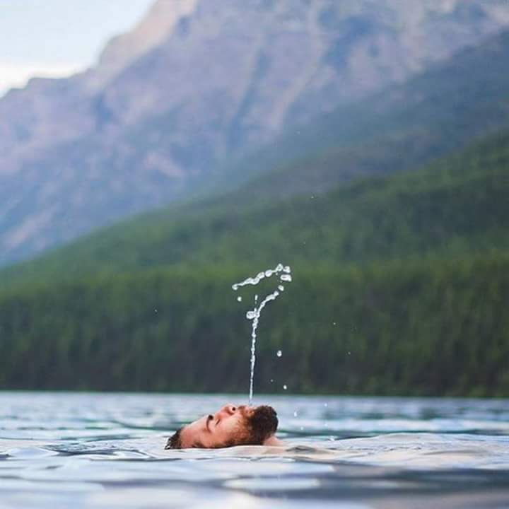 13221562_1594289717552306_396551307935836507_n