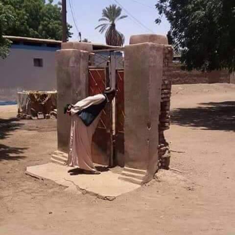 14264199_1651186168529327_2678966355090773384_n