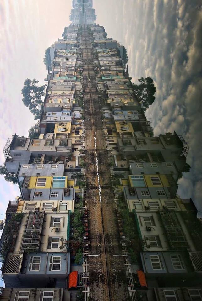 50999205_2357839827805523_1593169078514614272_n