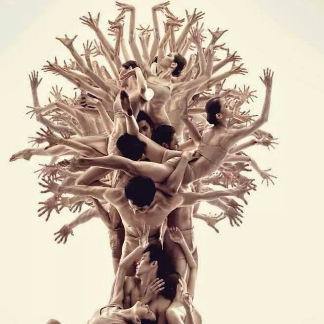 cropped-image-arbre-humain