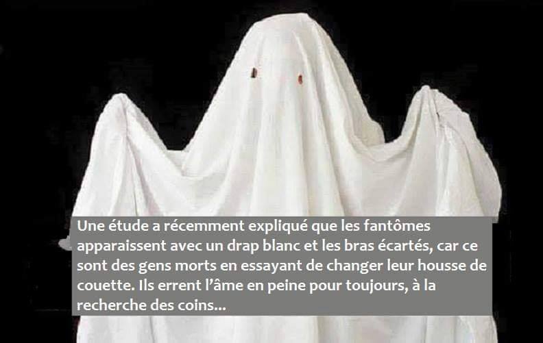 thumbnail_73287978_2660411810677202_6284368011176443904_n