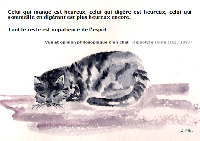 chat-heureux