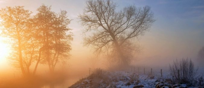 cropped-fog-trees-snow-sunrise-winter-hazy_2560x1600.jpg