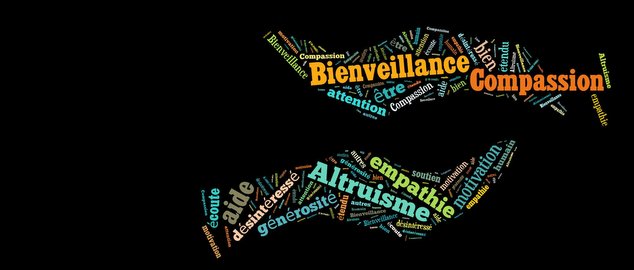 novequilibres-abc-qvt